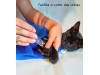 Saco de Contenção para felinos - Fêmeas e Machos